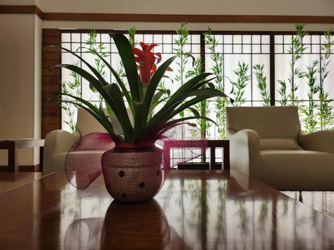 Luz Plaza Sao Paulo Hotel Kültér fotó